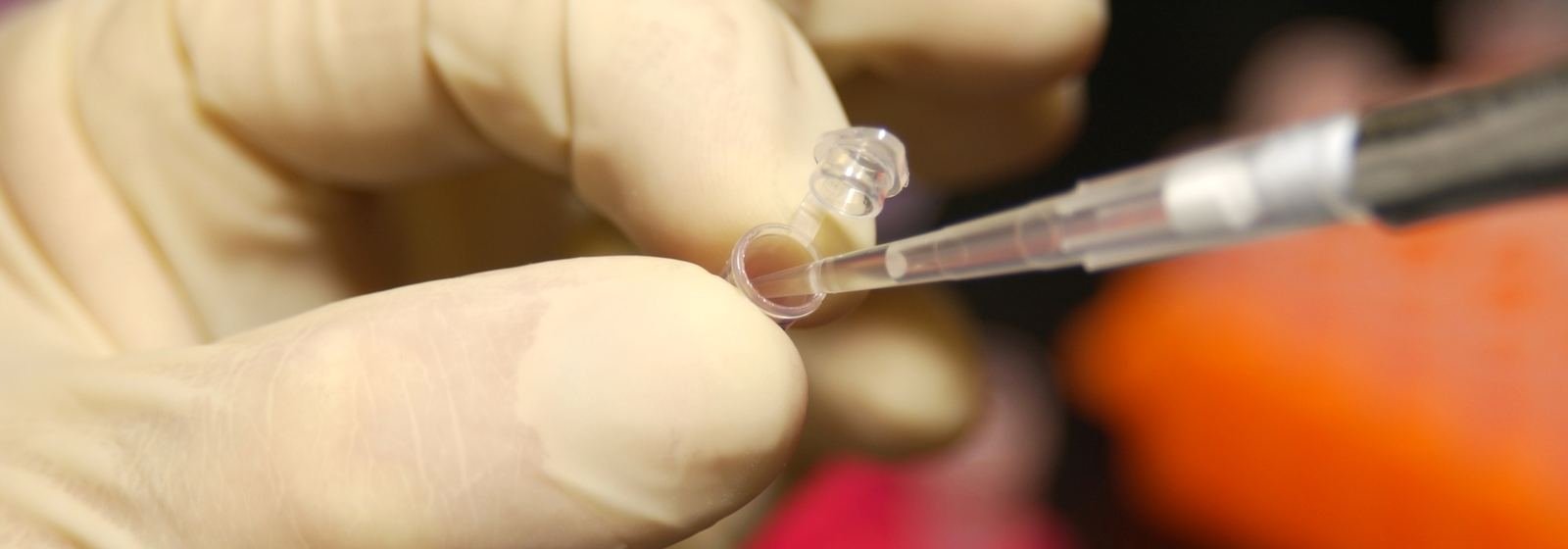 Pipeta tomando una muestra de ADN de un tubo de laboratorio